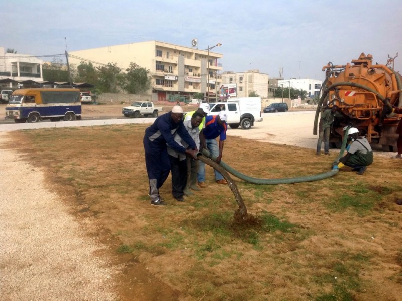 Don de Biofertilisants Thecogas Sénégal