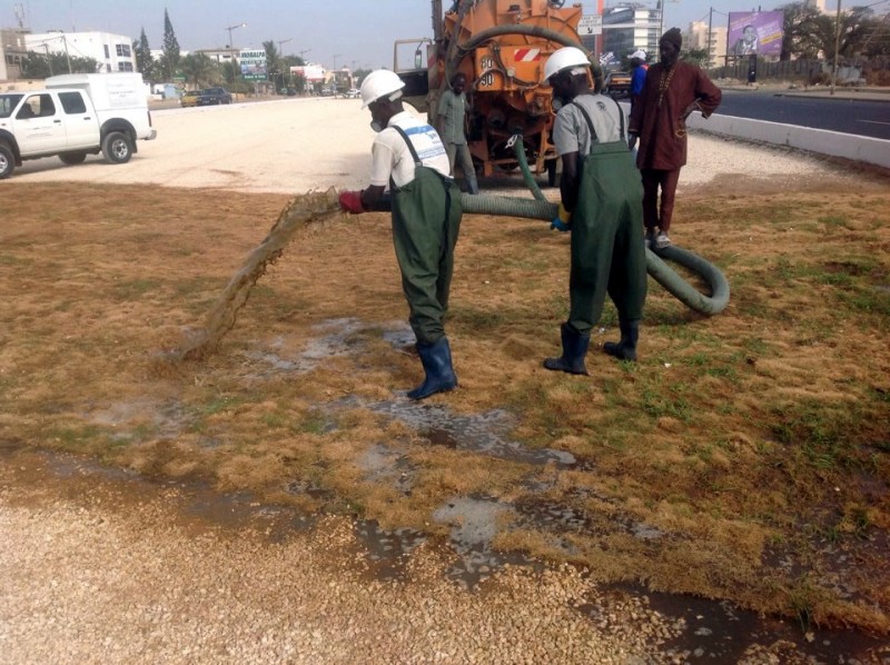 Don de Biofertilisants Thecogas Sénégal